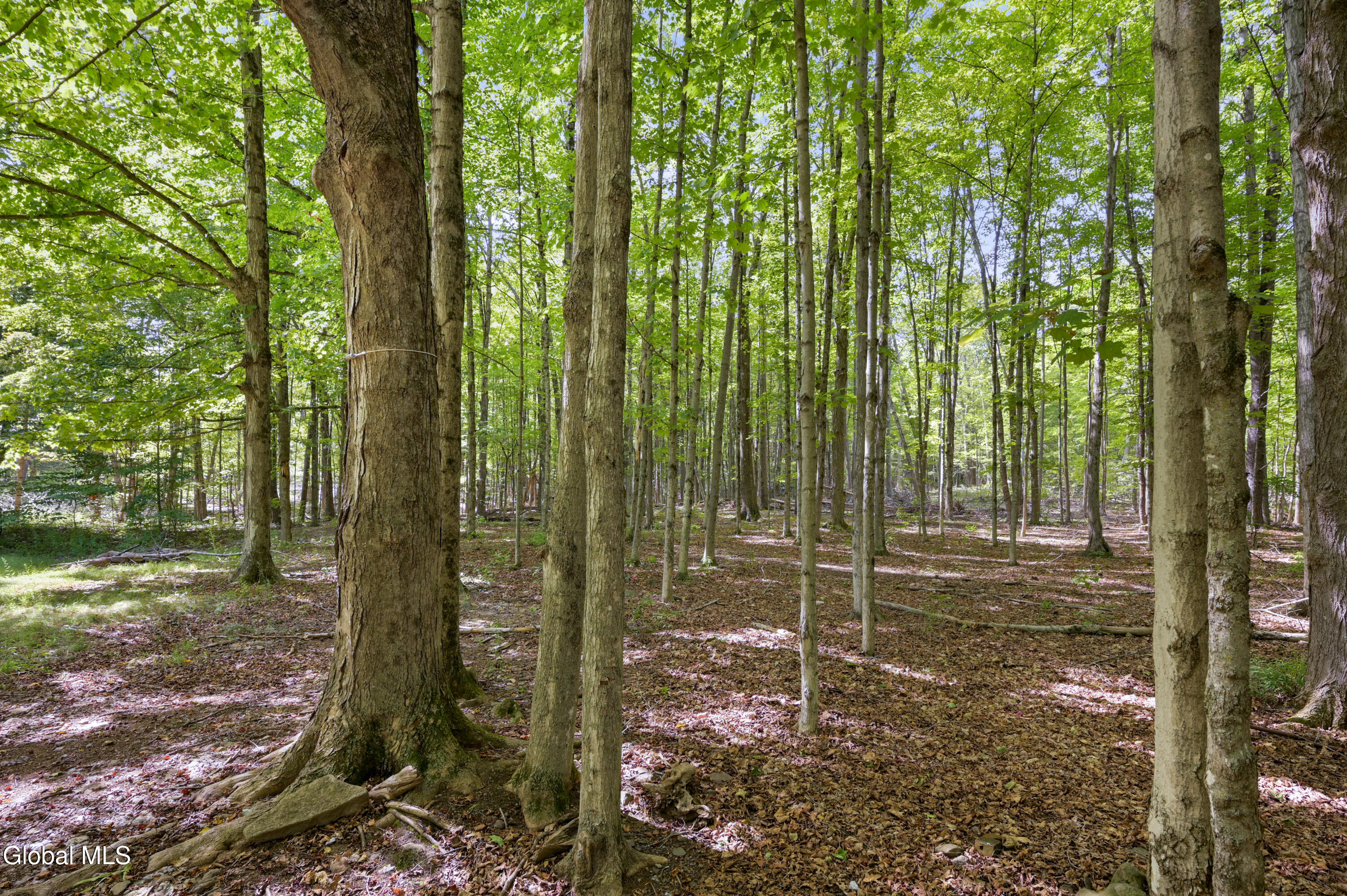 200 Davis Mt Road Oak Hill, NY 12460 - Photo 17 of 45 200 Davis Mountain Camera-5