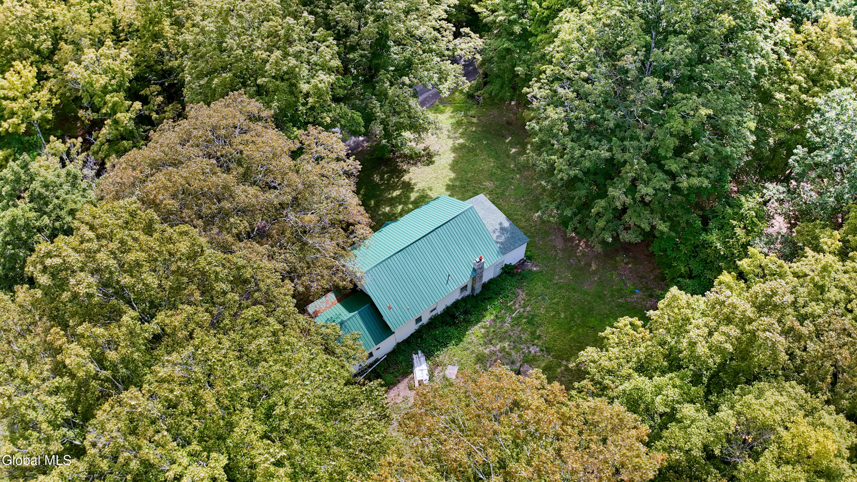 200 Davis Mt Road Oak Hill, NY 12460 - Photo 4 of 45 200 Davis Mountain Drone-7