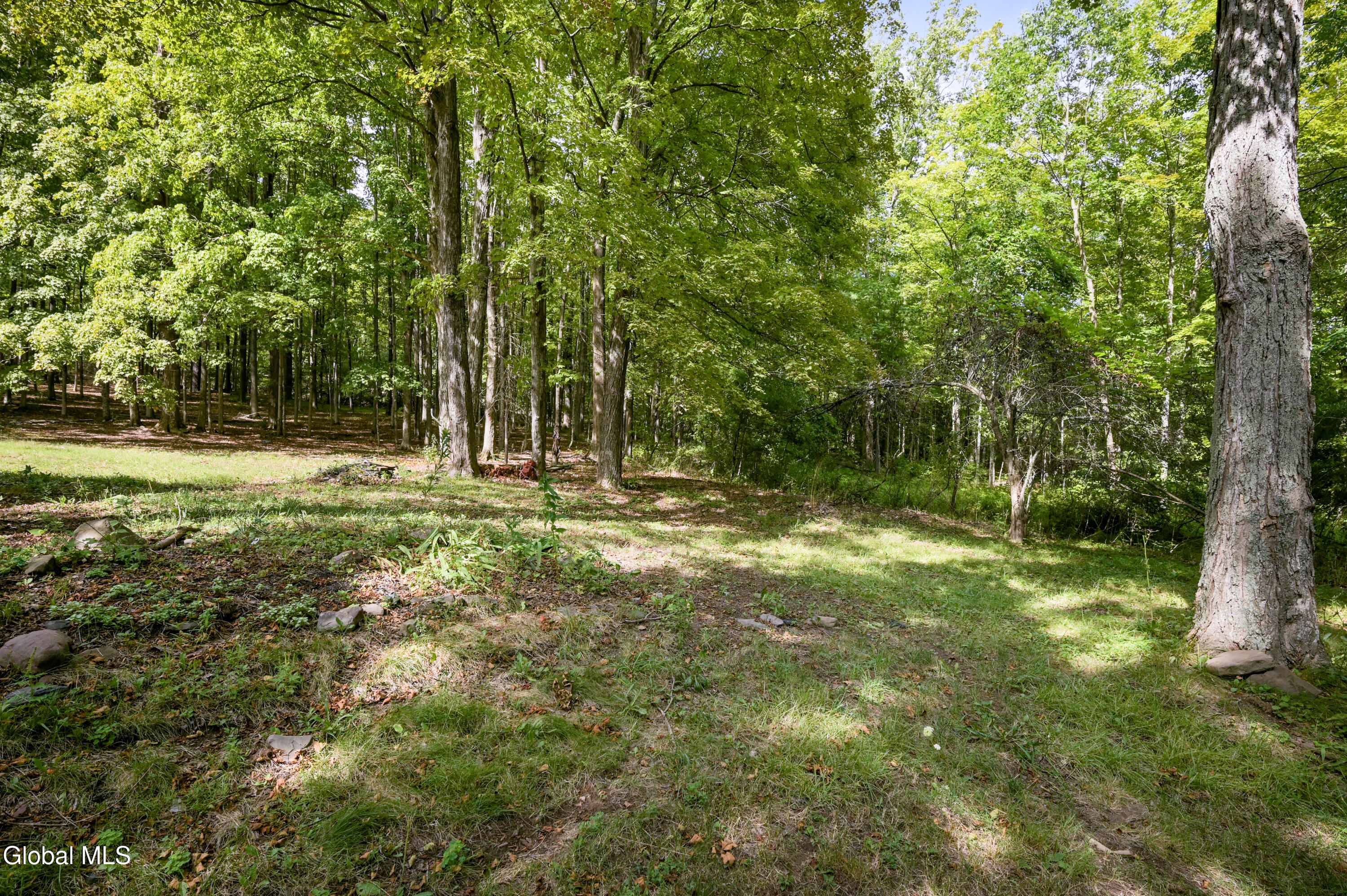 200 Davis Mt Road Oak Hill, NY 12460 - Photo 43 of 45 200 Davis Mountain Camera-2