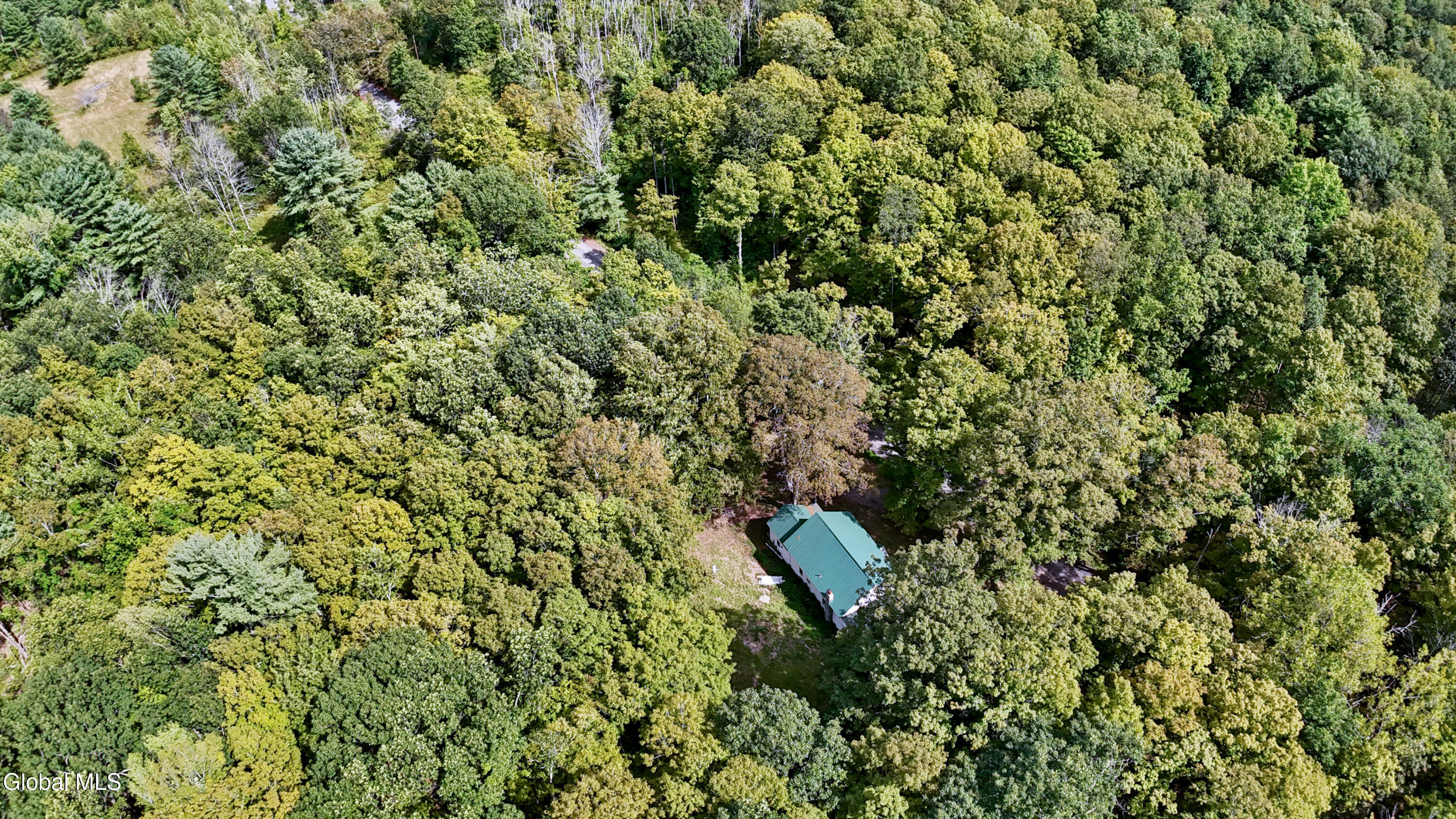 200 Davis Mt Road Oak Hill, NY 12460 - Photo 5 of 45 200 Davis Mountain Drone-10