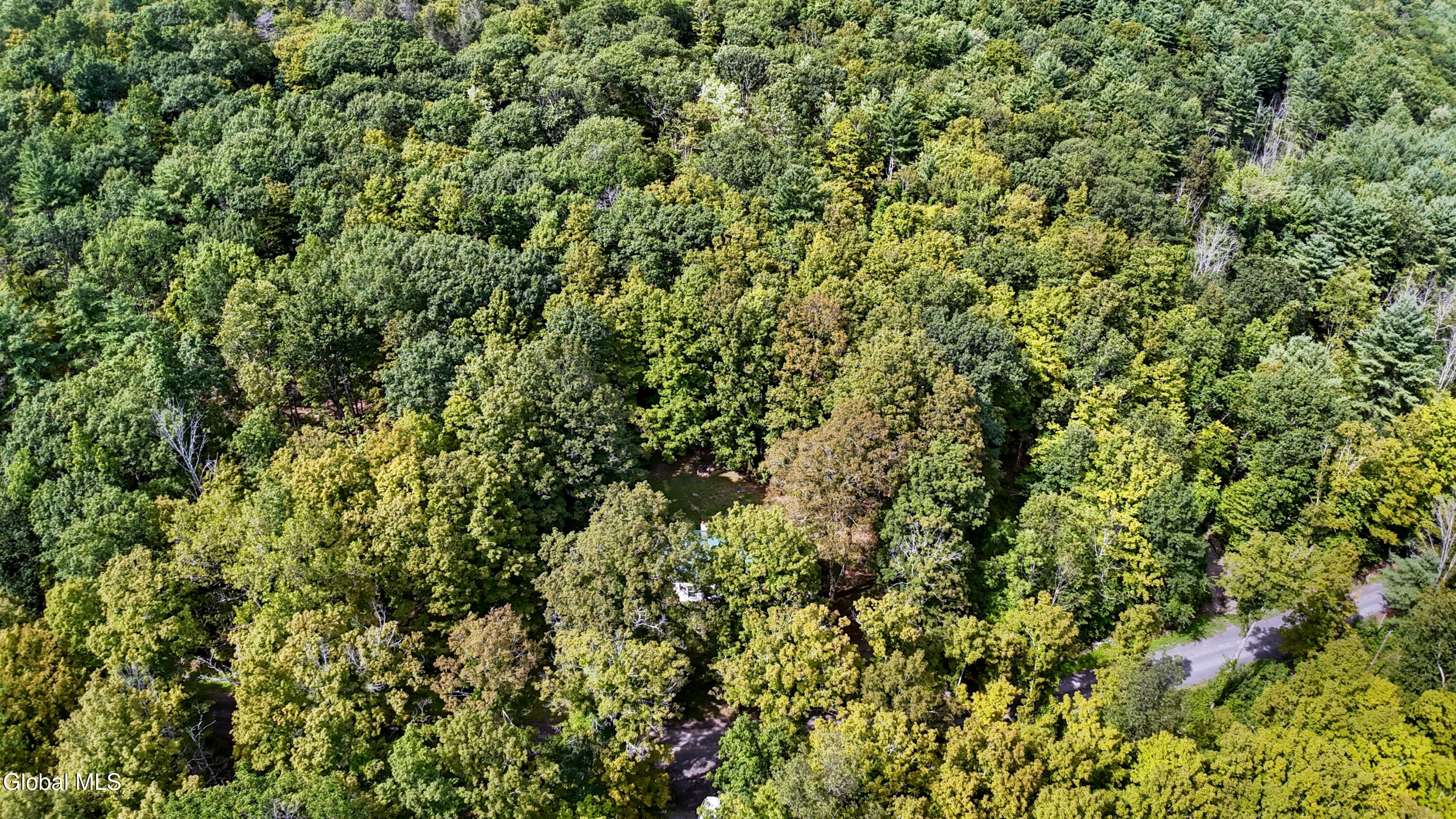 200 Davis Mt Road Oak Hill, NY 12460 - Photo 10 of 45 200 Davis Mountain Drone-8