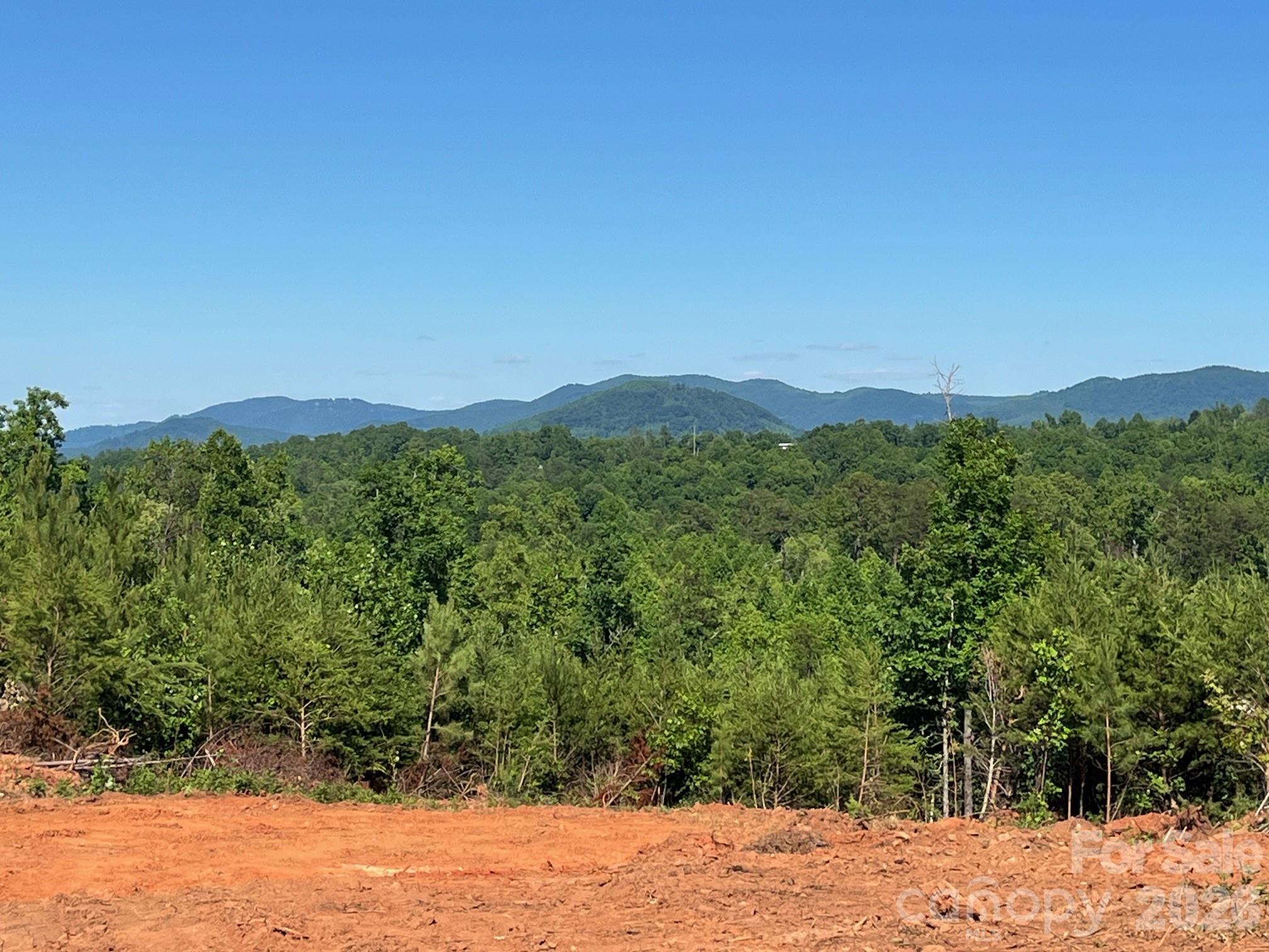 Tbd Vein Mountain Road, Unit 20 Nebo, NC 28761 - Photo 1 of 17
