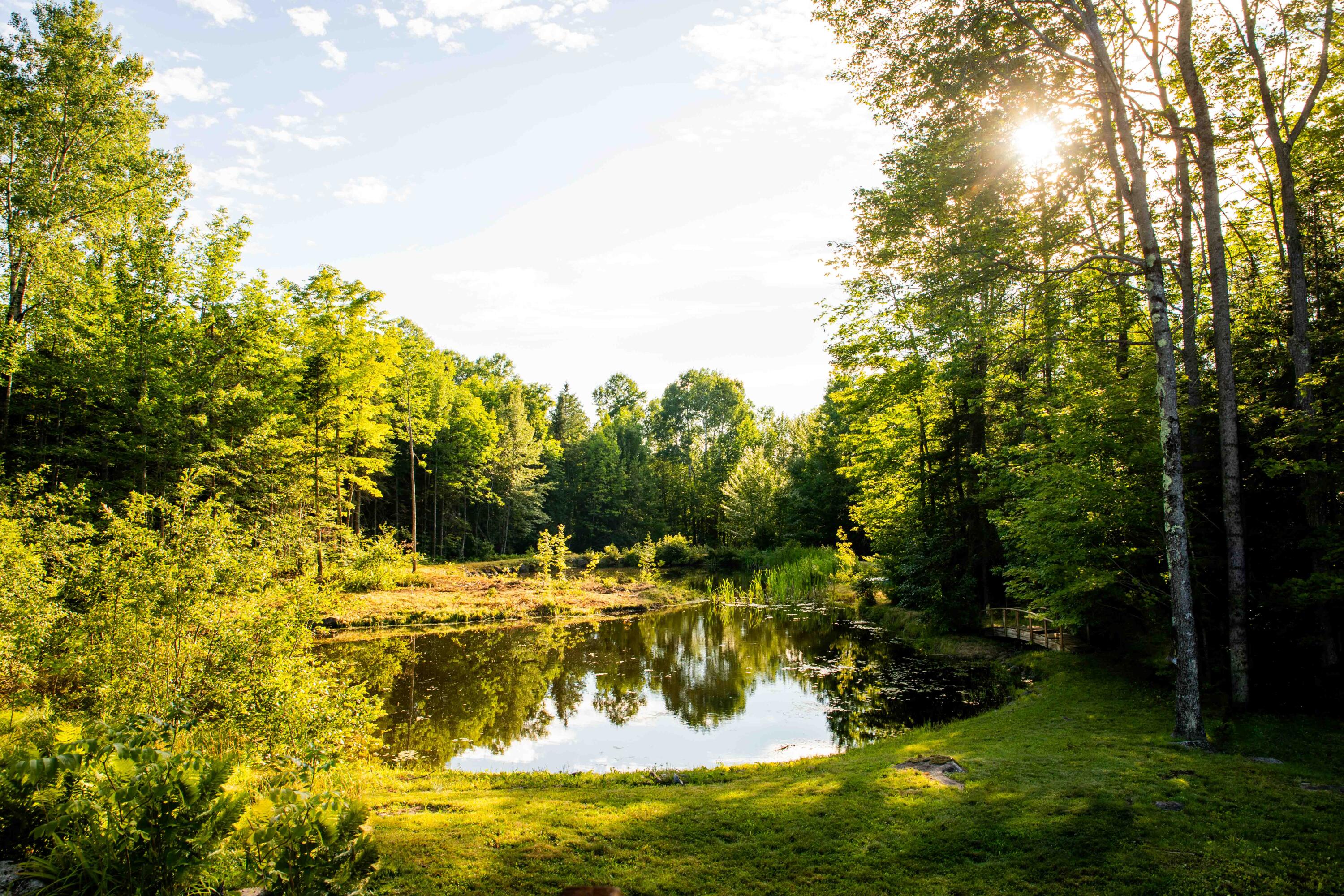 155 Anson Valley Road New Vineyard, ME 04956 - Photo 23 of 28 0X9A5624