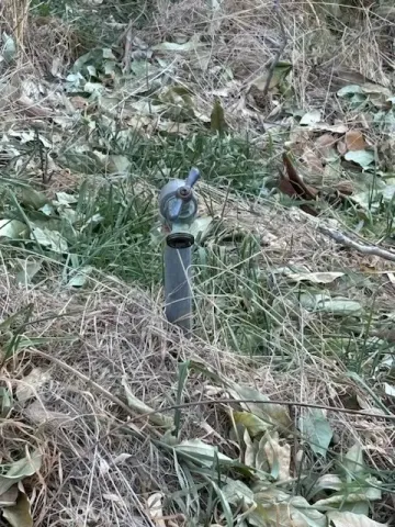 a view of a fire pit with large trees