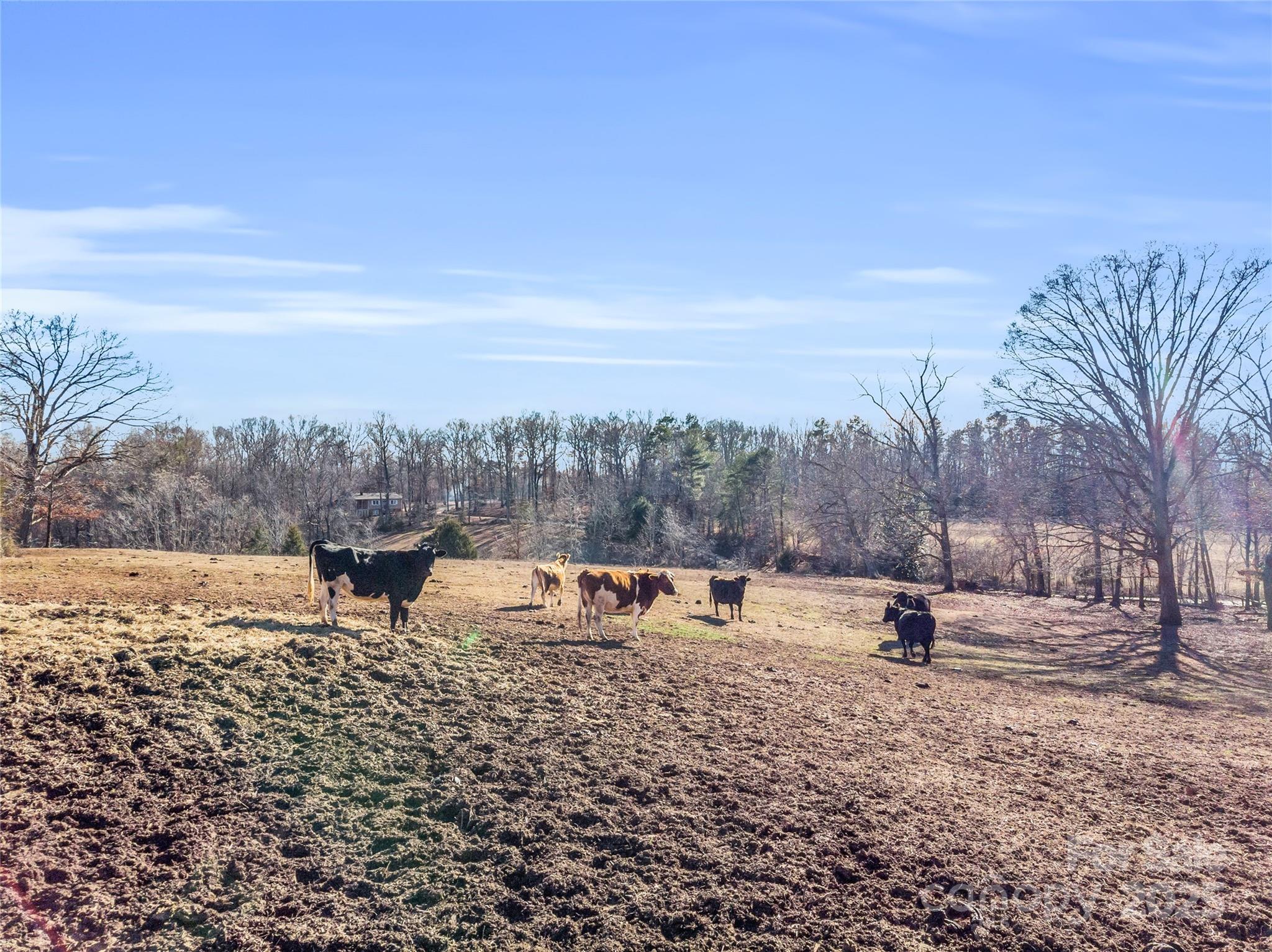 126 Waters Road Bostic, NC 28018 - Photo 25 of 29 a view of a lake with a mountain