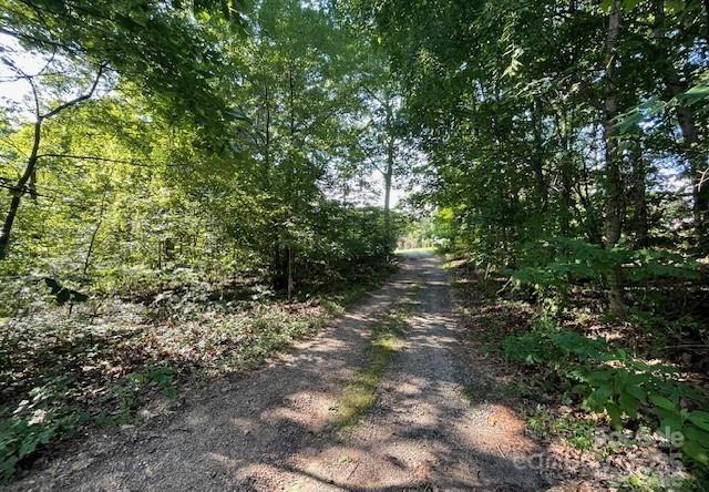 126 Waters Road Bostic, NC 28018 - Photo 3 of 29 a view of a forest with lots of trees