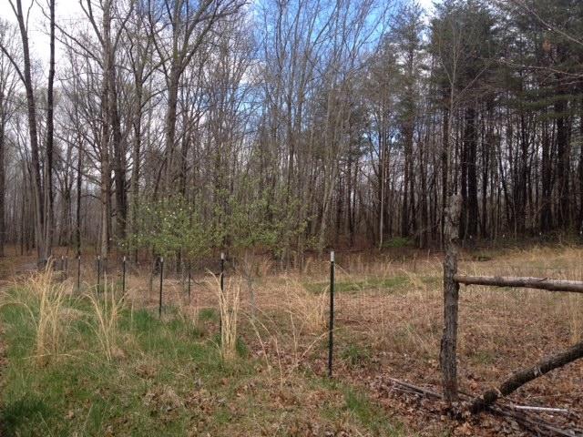 308 Rodgers Road Crossville, TN 38572 - Photo 4 of 10 photo 2 (6)