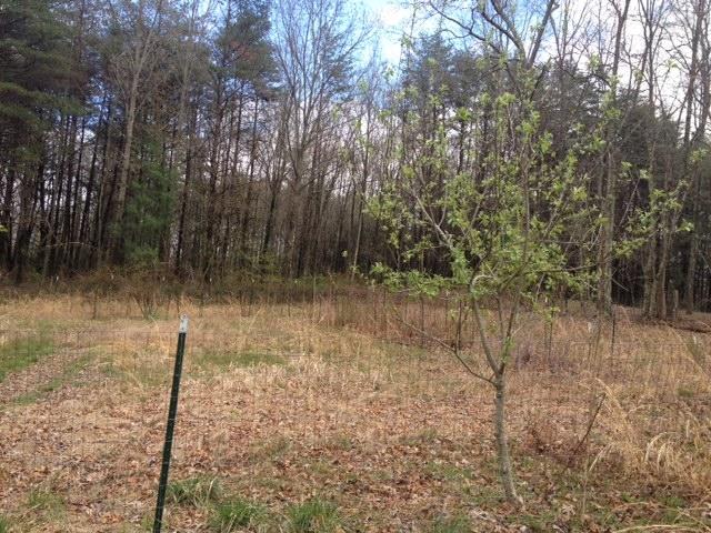 308 Rodgers Road Crossville, TN 38572 - Photo 7 of 10 photo 2 (8)