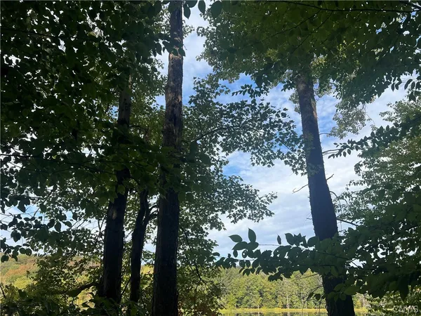 $110,000 | Stramba Road, Cincinnatus, NY 13040