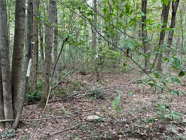$110,000 | Stramba Road, Cincinnatus, NY 13040