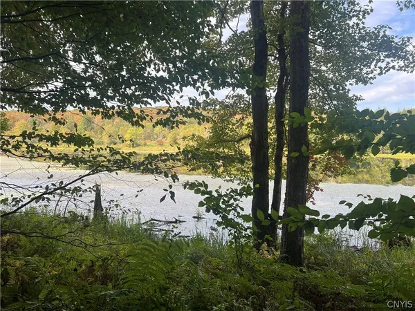 $110,000 | Stramba Road, Cincinnatus, NY 13040