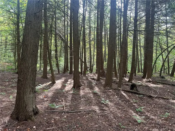 $110,000 | Stramba Road, Cincinnatus, NY 13040