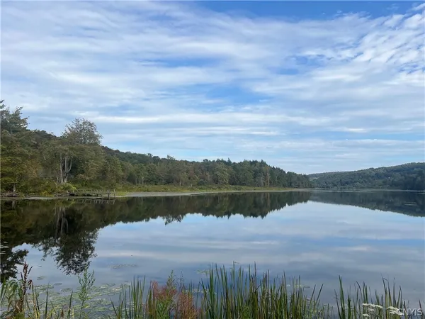 $110,000 | Stramba Road, Cincinnatus, NY 13040