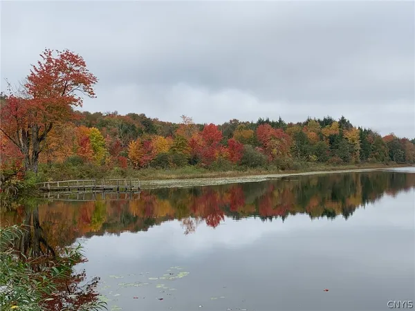 $110,000 | Stramba Road, Cincinnatus, NY 13040