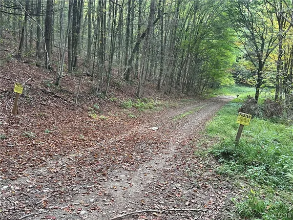 $110,000 | Stramba Road, Cincinnatus, NY 13040