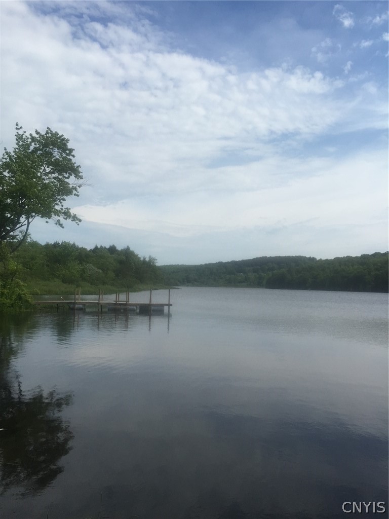 Stramba Road Cincinnatus, NY 13040 - Photo 22 of 23