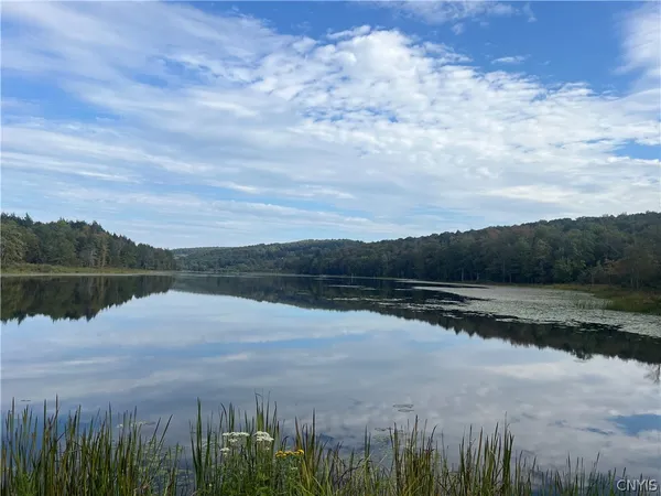 $110,000 | Stramba Road, Cincinnatus, NY 13040