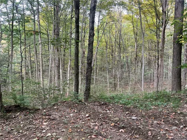 $110,000 | Stramba Road, Cincinnatus, NY 13040