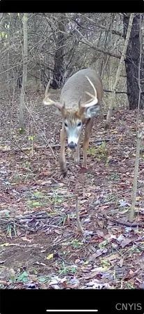 $110,000 | Stramba Road, Cincinnatus, NY 13040