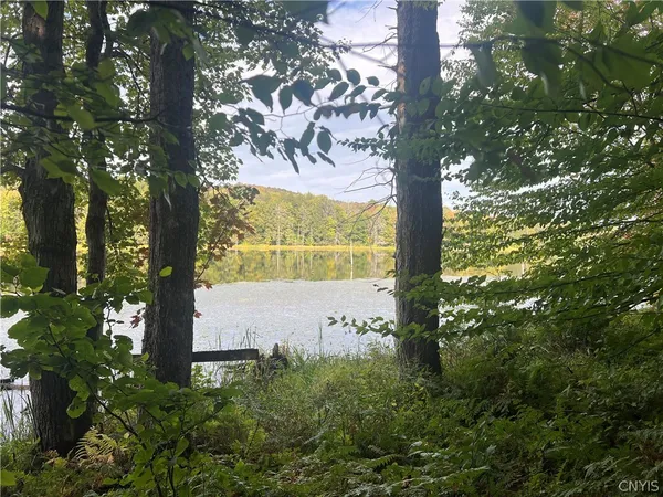 $110,000 | Stramba Road, Cincinnatus, NY 13040