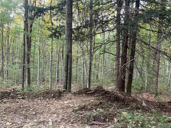 $110,000 | Stramba Road, Cincinnatus, NY 13040