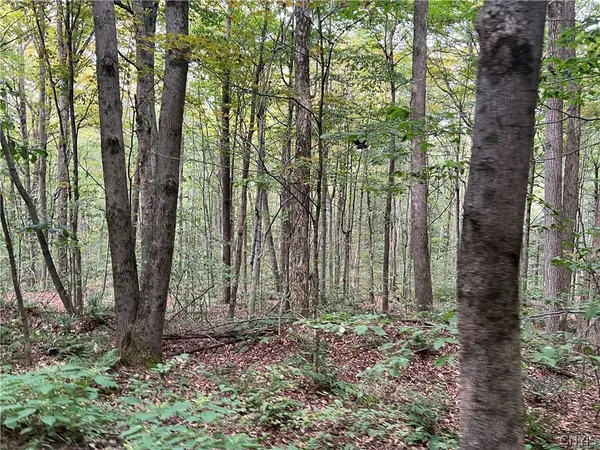 $110,000 | Stramba Road, Cincinnatus, NY 13040