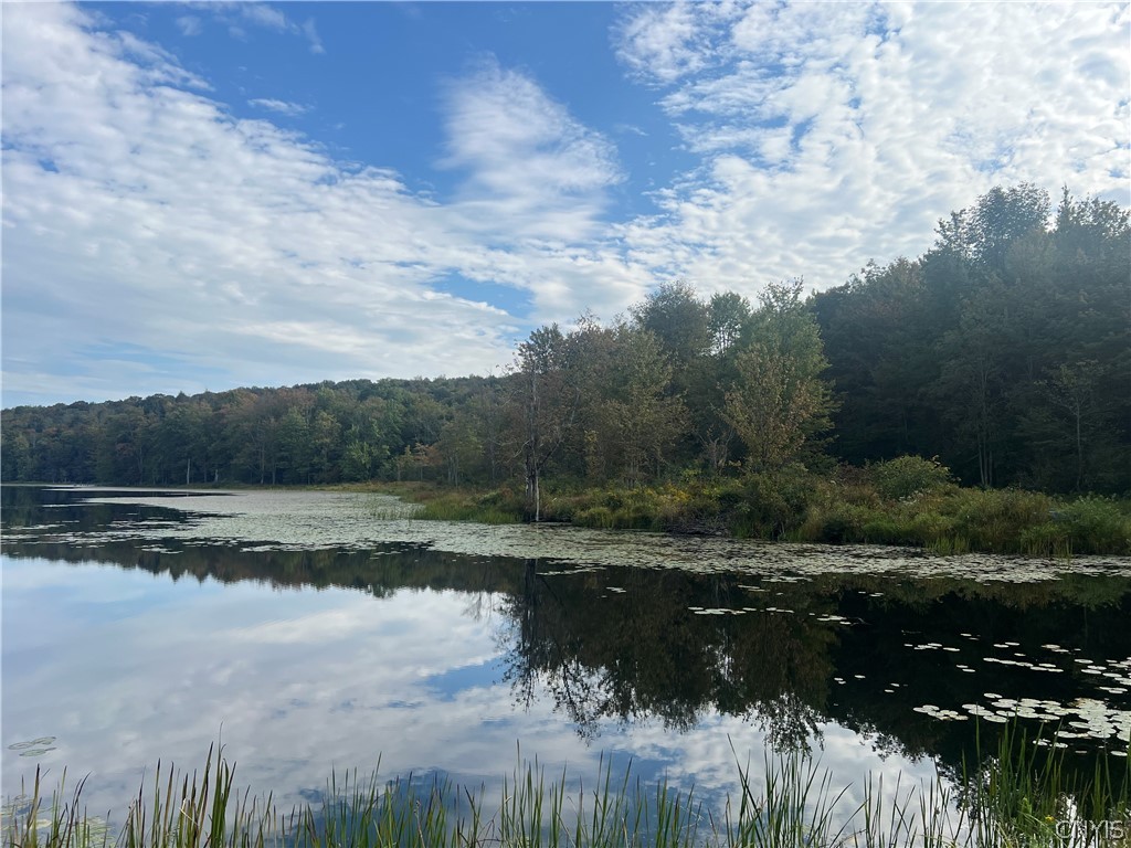 Stramba Road Cincinnatus, NY 13040 - Photo 10 of 23
