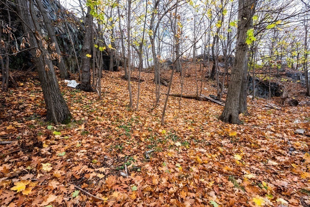 0 Linwood Road Lynn, MA 01905 - Photo 8 of 11 Gallery Image 8