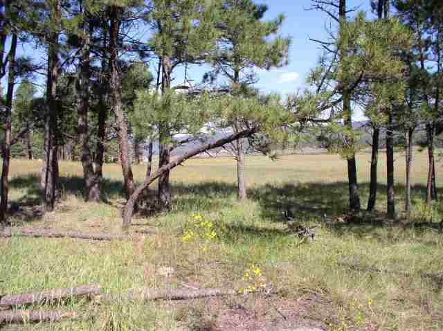 2267 Alpine Az 85920 Alpine, AZ 85920 - Photo 4 of 5