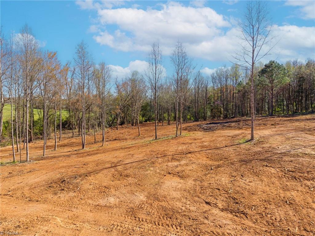 Lot1 Sprouse Road Boonville, NC 27011 - Photo 5 of 12