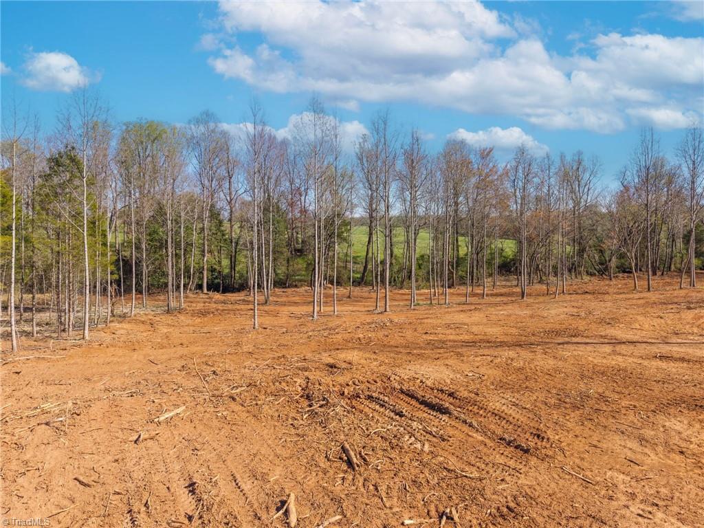 Lot1 Sprouse Road Boonville, NC 27011 - Photo 6 of 12