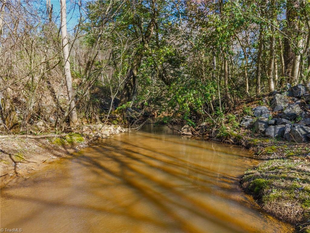 Lot1 Sprouse Road Boonville, NC 27011 - Photo 10 of 12