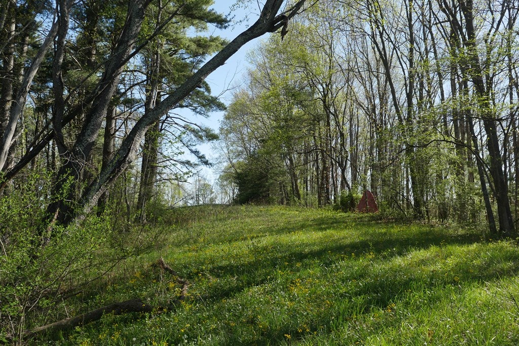 Tbd Camp Road Sugar Grove, VA 24375 - Photo 63 of 67 Gallery Image 63