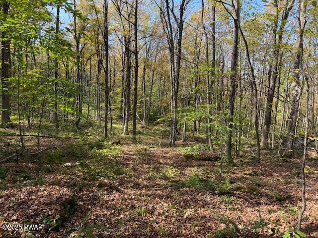 Fairmont Road Road Starrucca, PA 18462 - Photo 15 of 18