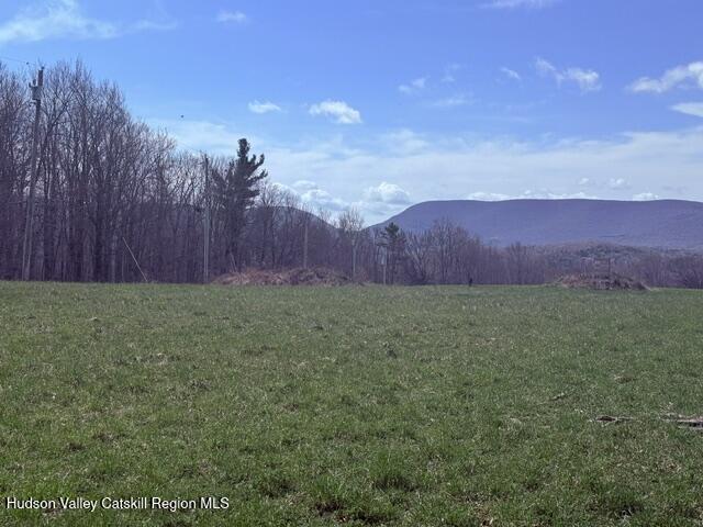 0 Van Etten Road Prattsville, NY 12468 - Photo 26 of 34 IMG_3174