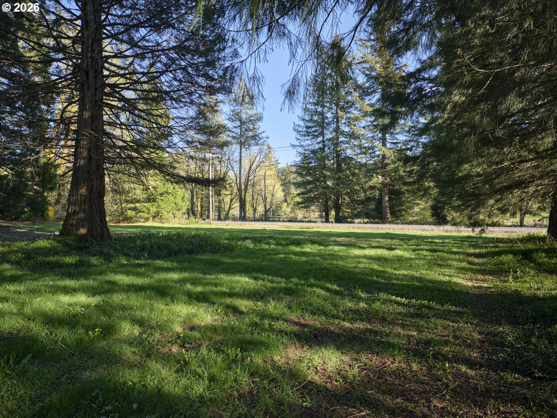 11846 Lewis River Road Ariel, WA 98603 - Photo 32 of 33 a garden view with a trees