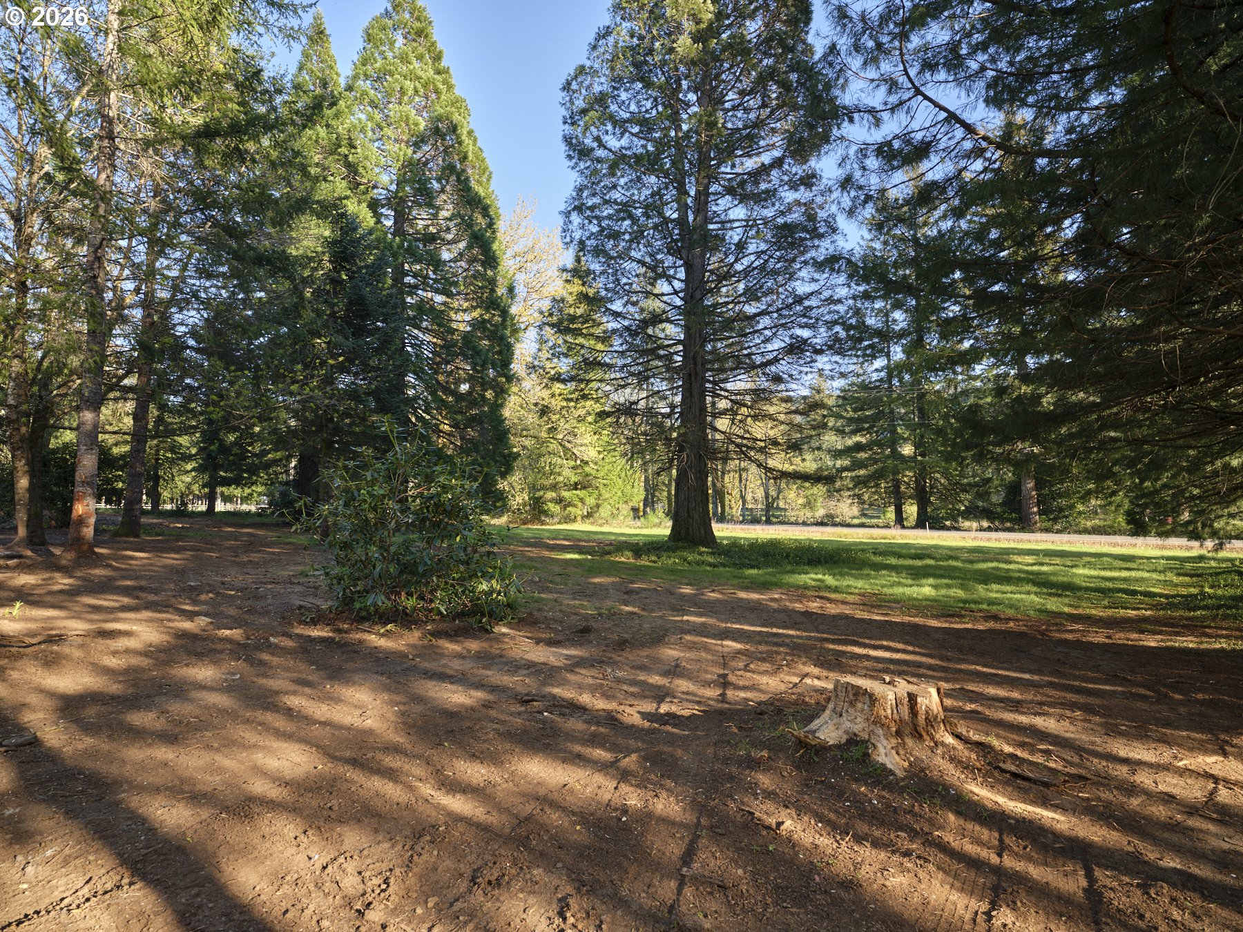 11846 Lewis River Road Ariel, WA 98603 - Photo 33 of 33 a view of a yard with large trees