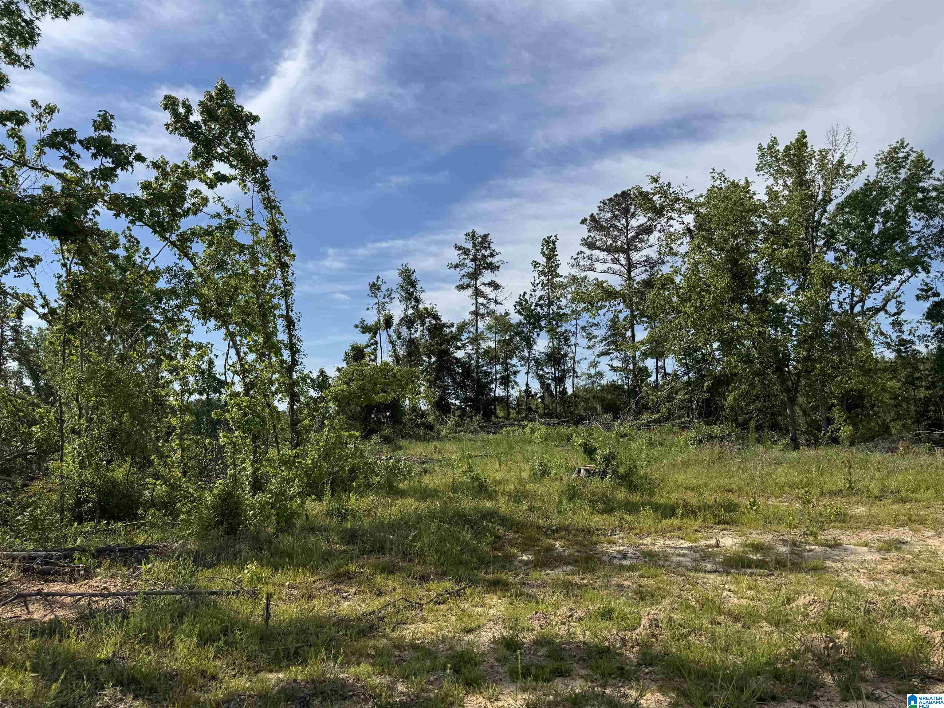 Active Road, Unit 5 Lawley, AL 36793 - Photo 8 of 38