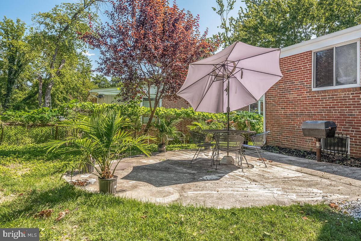 904 Newhall Street Silver Spring, MD 20901 - Photo 47 of 47 Spacious Patio