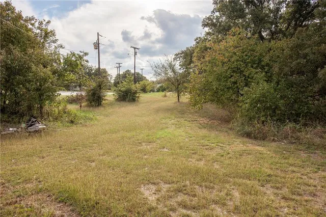 a view of a yard with a tree