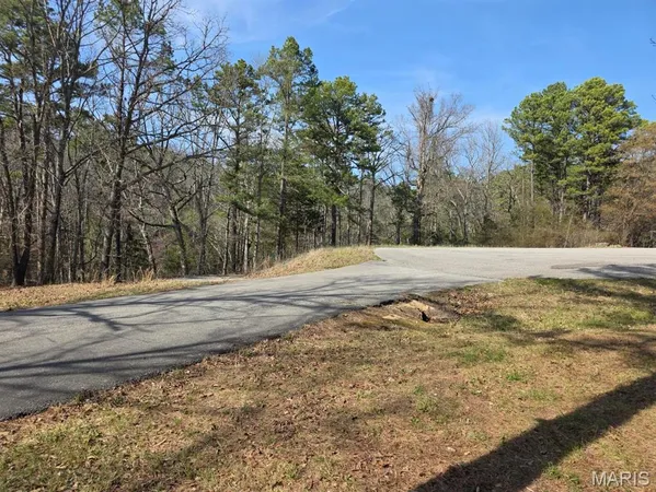 $315,000 | 118 Wyn Street, Houston, MO 65483