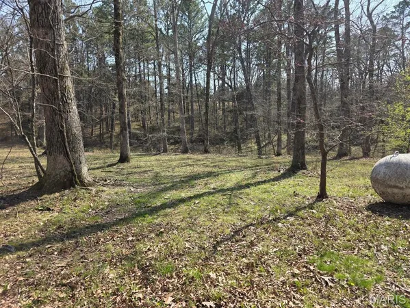 $315,000 | 118 Wyn Street, Houston, MO 65483