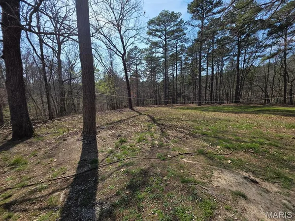 $315,000 | 118 Wyn Street, Houston, MO 65483