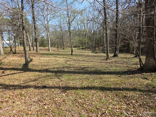 $315,000 | 118 Wyn Street, Houston, MO 65483