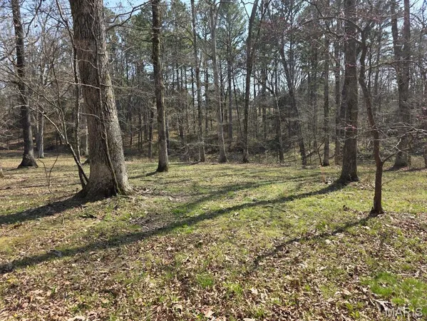 $315,000 | 118 Wyn Street, Houston, MO 65483