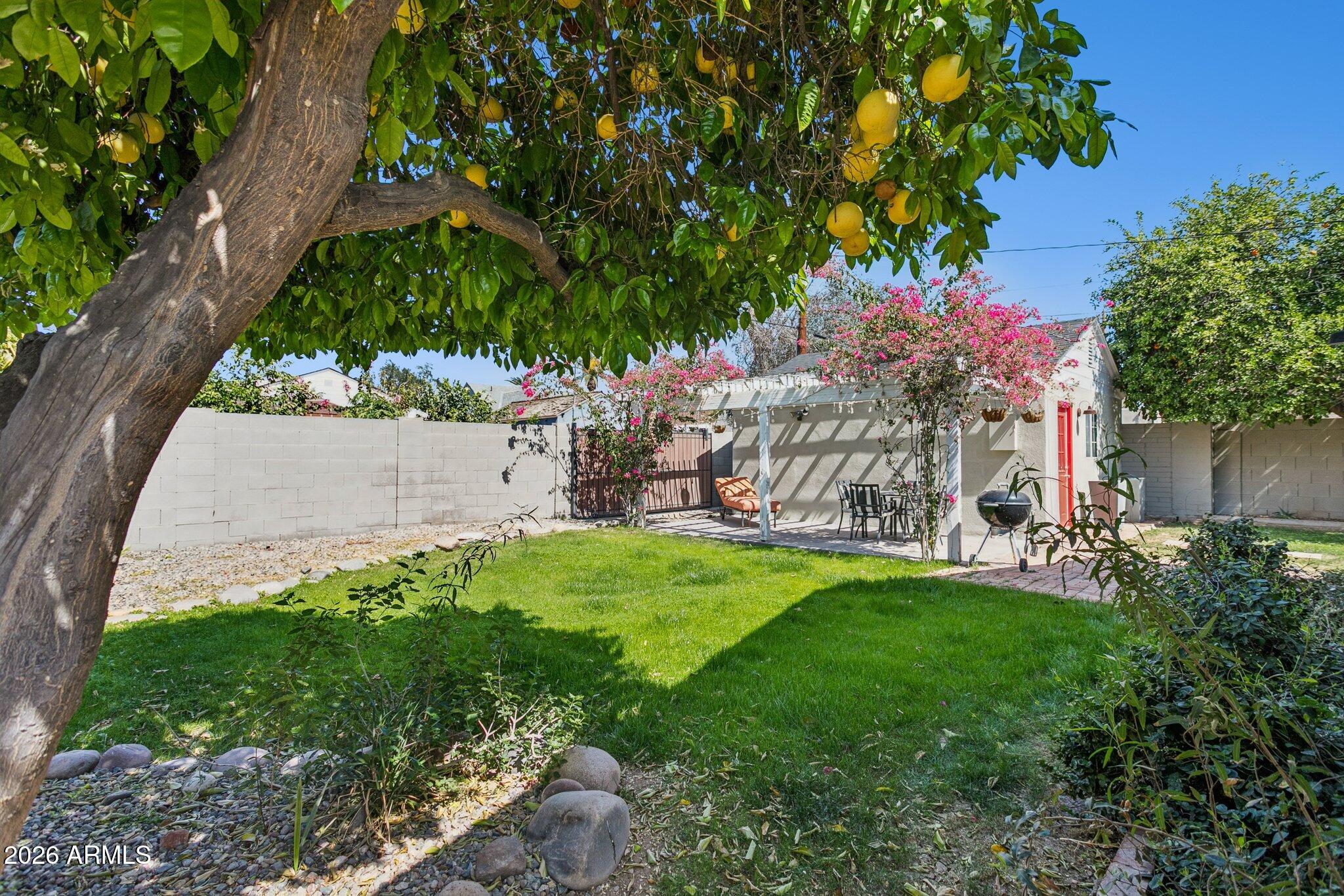 322 West Coronado Road Phoenix, AZ 85003 - Photo 55 of 75 Rear yard with mature citrus
