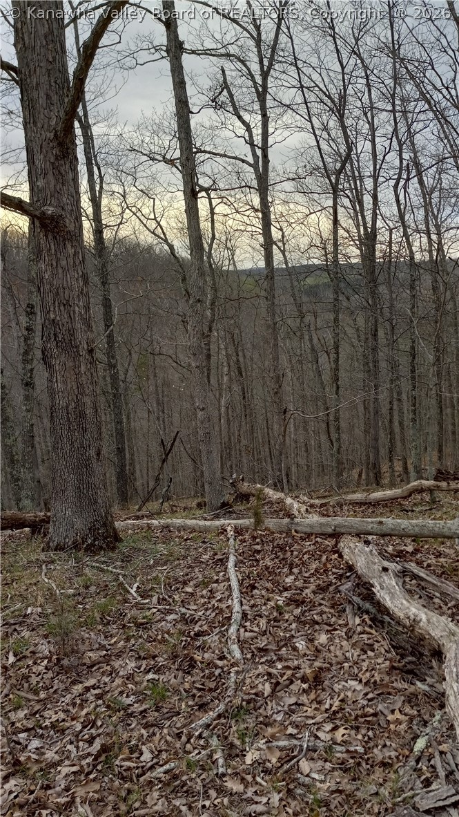 0 Rheva Lane Leon, WV 25123 - Photo 10 of 13 Gallery Image 10