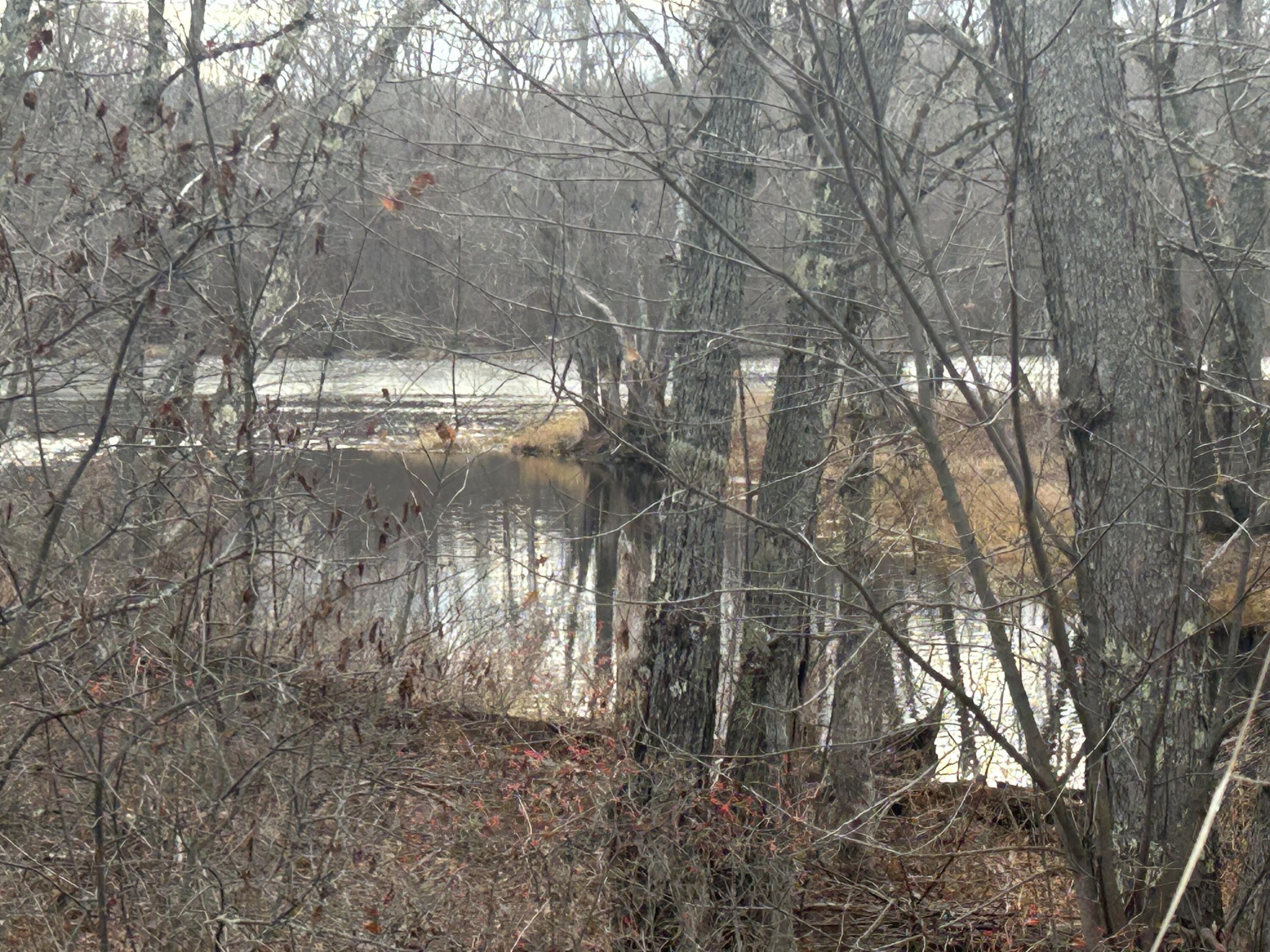 505 Main Street Passadumkeag, ME 04475 - Photo 42 of 44 IMG_1981