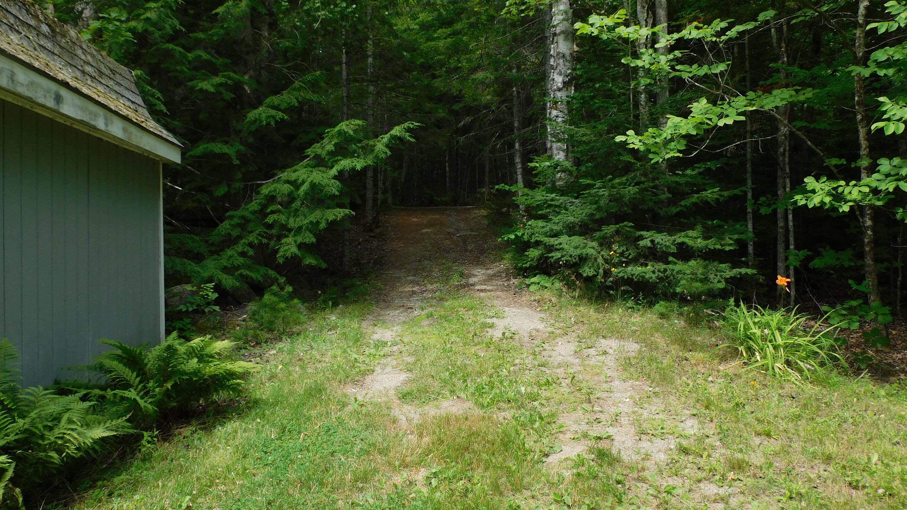 226-228 Berry Road Alexander, ME 04694 - Photo 22 of 30 DSCN0193