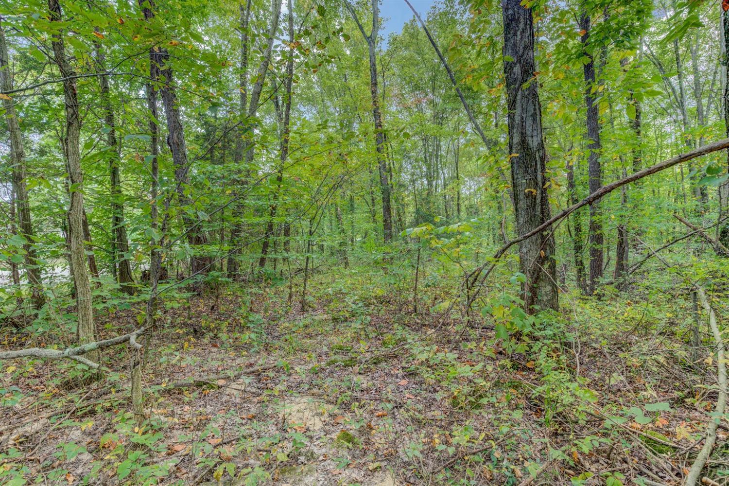A Locust Lake Road Amelia, OH 45102 - Photo 35 of 45 Gallery Image 35